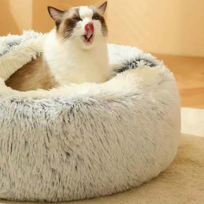  Calming CozyCave