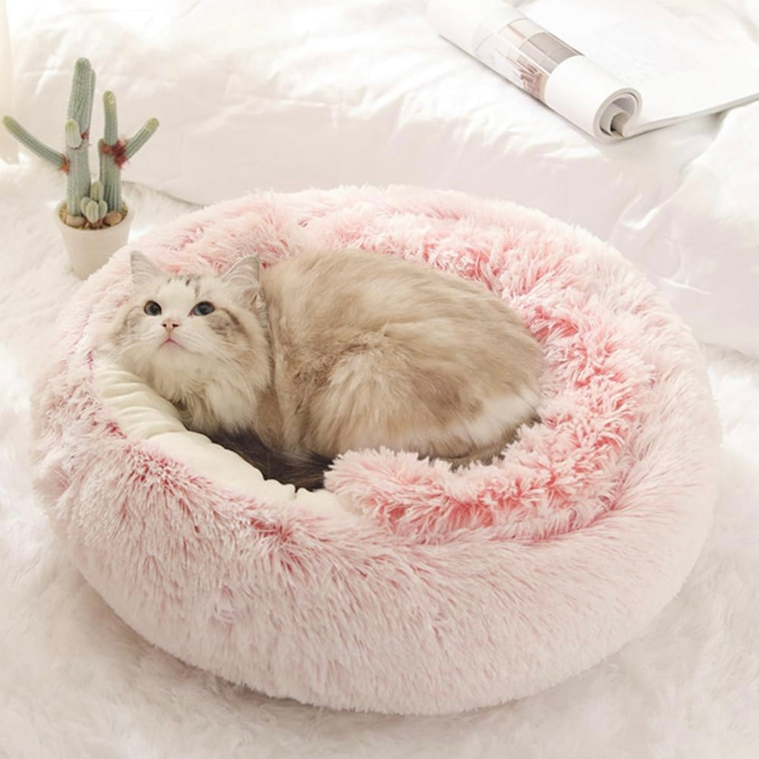  Calming CozyCave