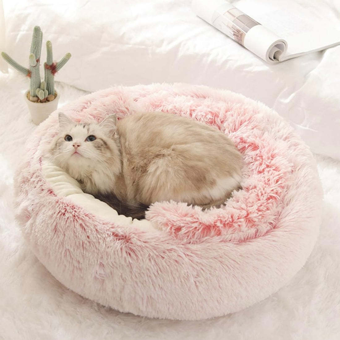  Calming CozyCave