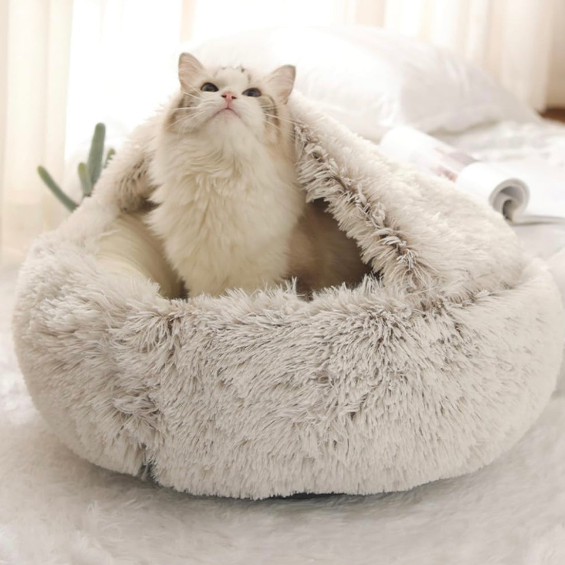  Calming CozyCave