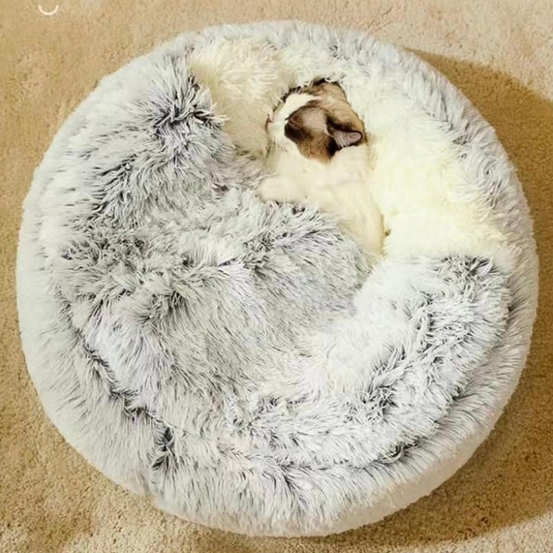  Calming CozyCave