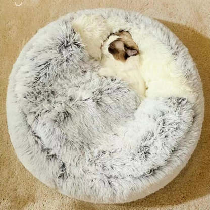  Calming CozyCave