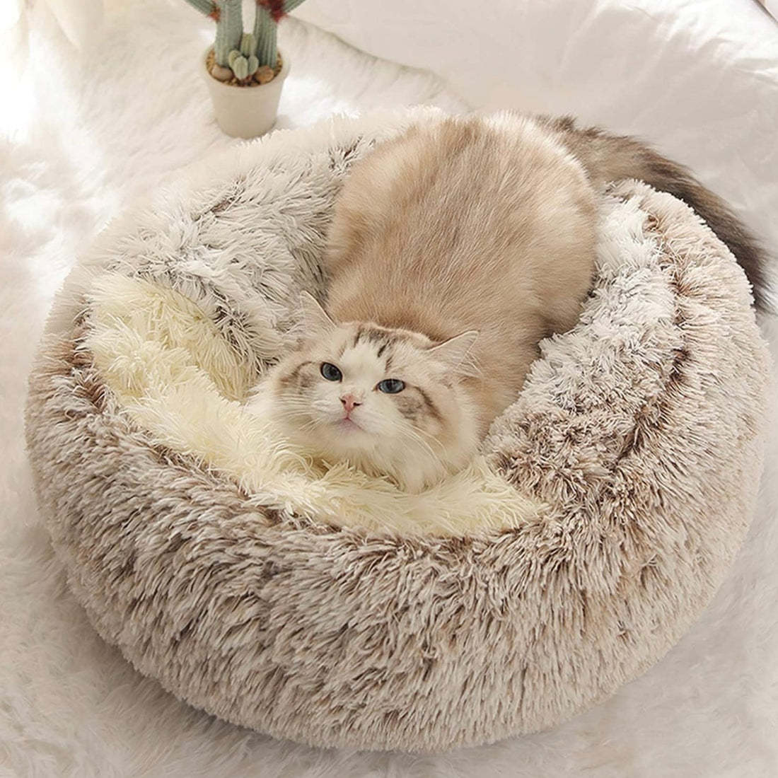  Calming CozyCave
