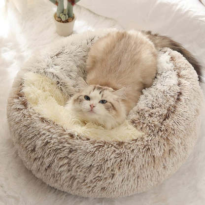  Calming CozyCave