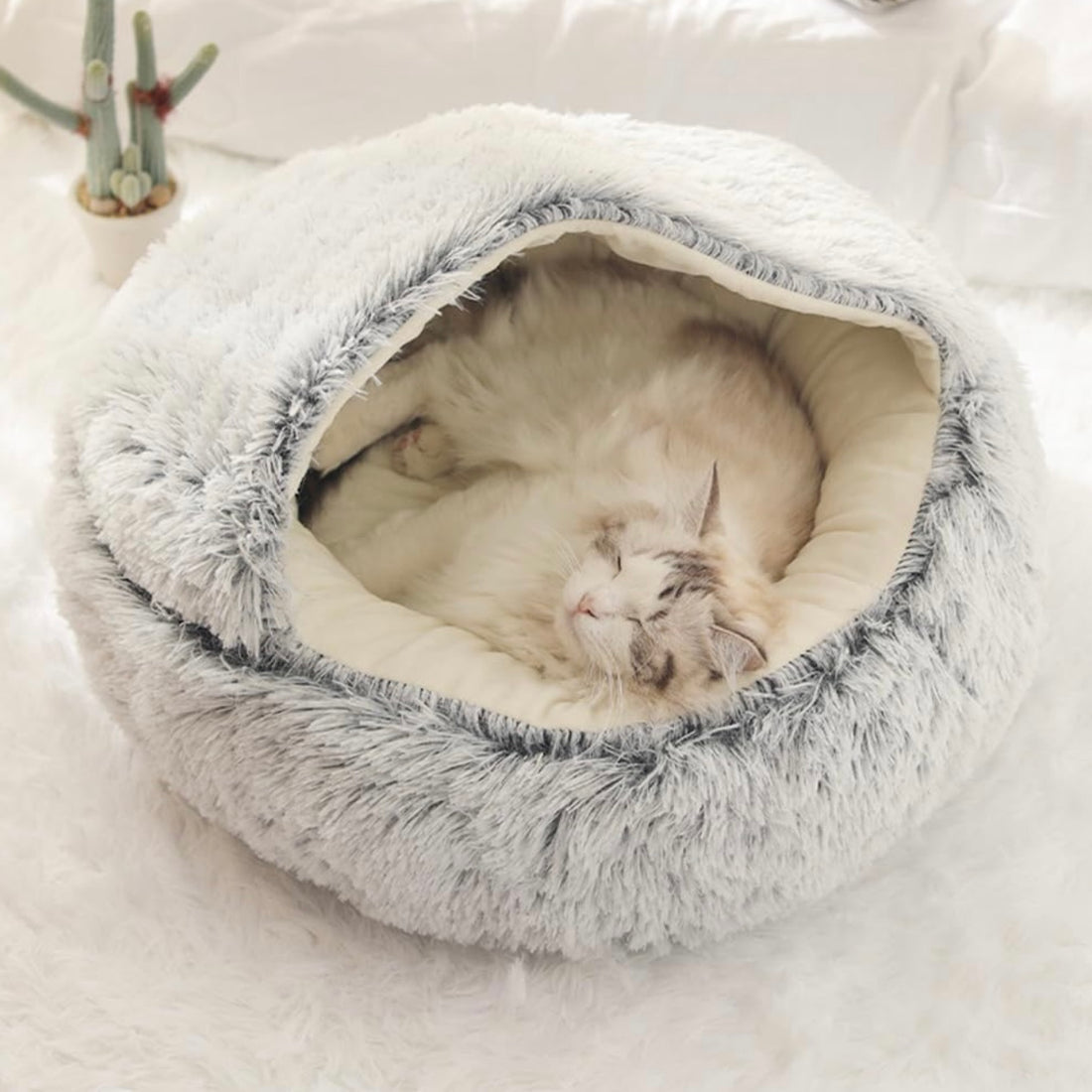  Calming CozyCave
