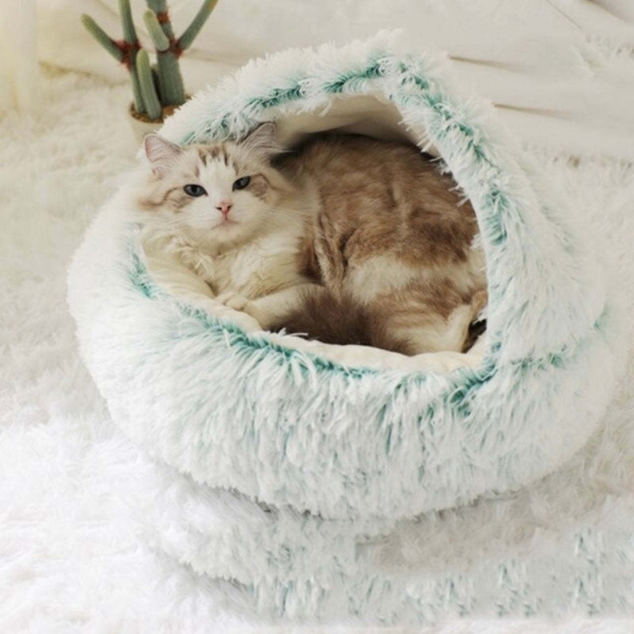  Calming CozyCave
