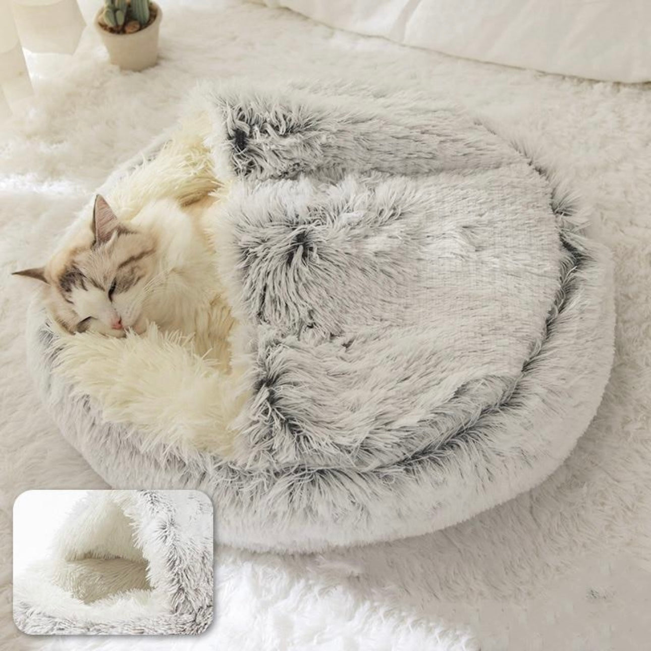  Calming CozyCave