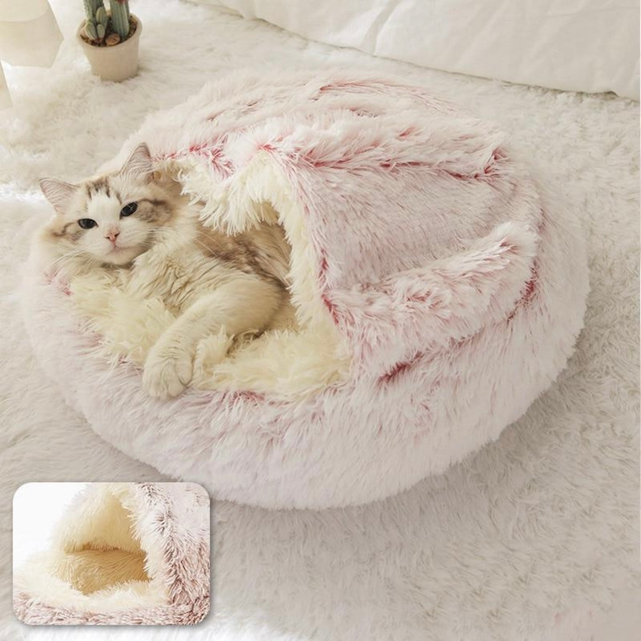  Calming CozyCave