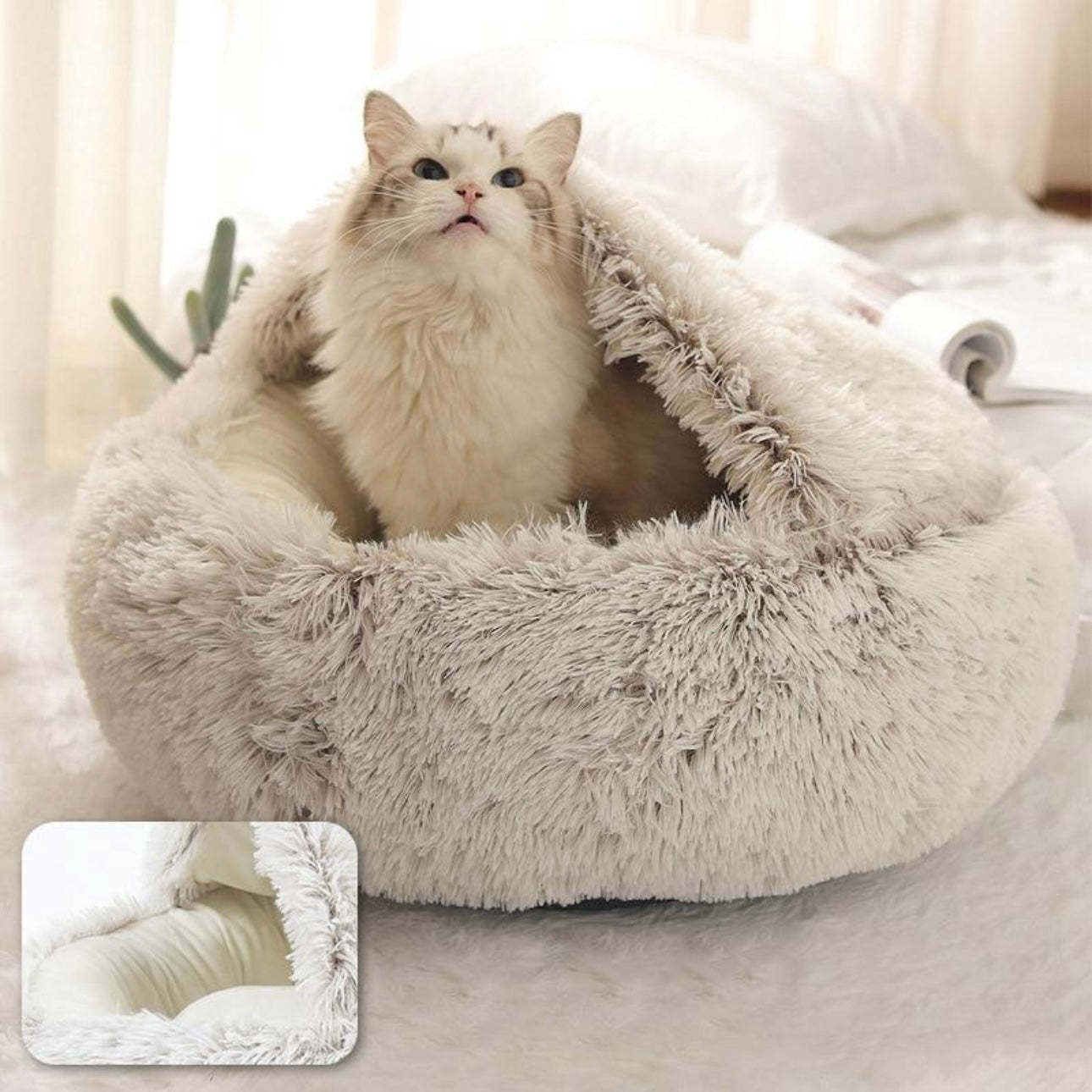  Calming CozyCave