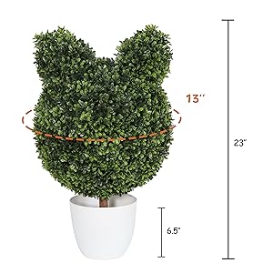BOXWOOD BALL