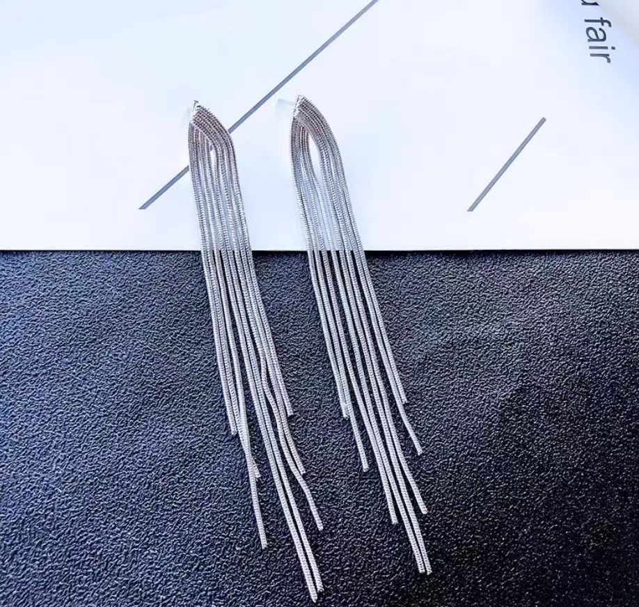 Long tassel earrings