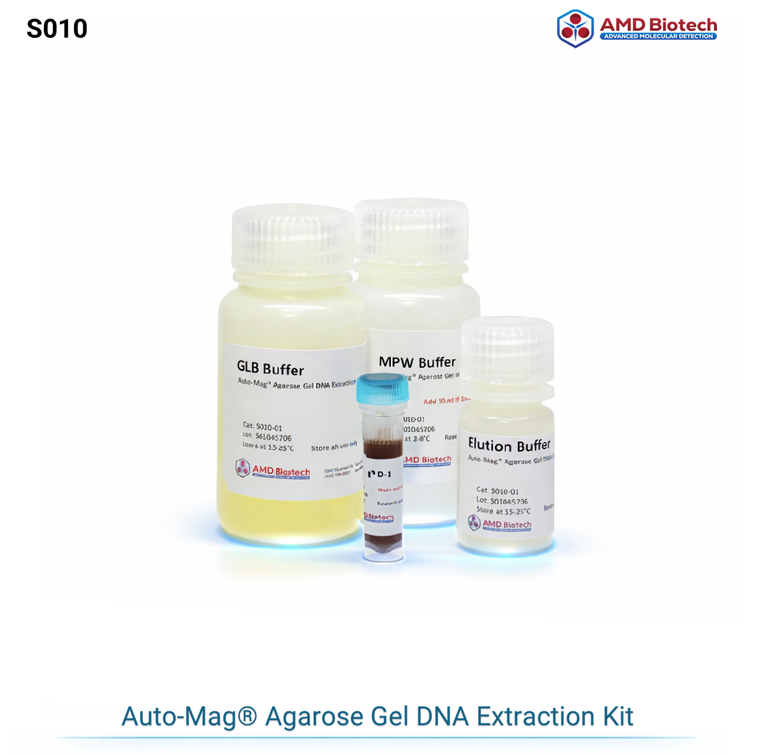 Auto-Mag® Agarose Gel DNA Extraction Kit