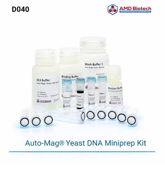 Auto-Mag® Yeast DNA Miniprep Kit  ( with 2 ml Prefilled Disruptor Tubes)