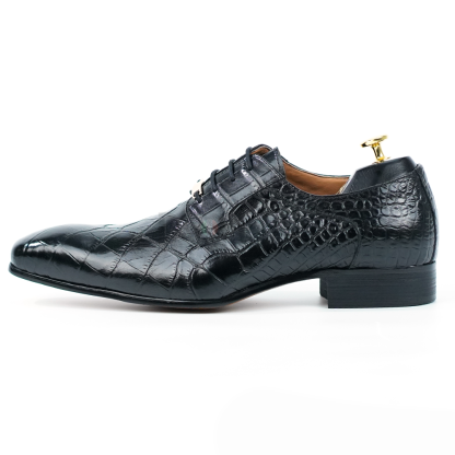 Assisi Dress Shoes D1018