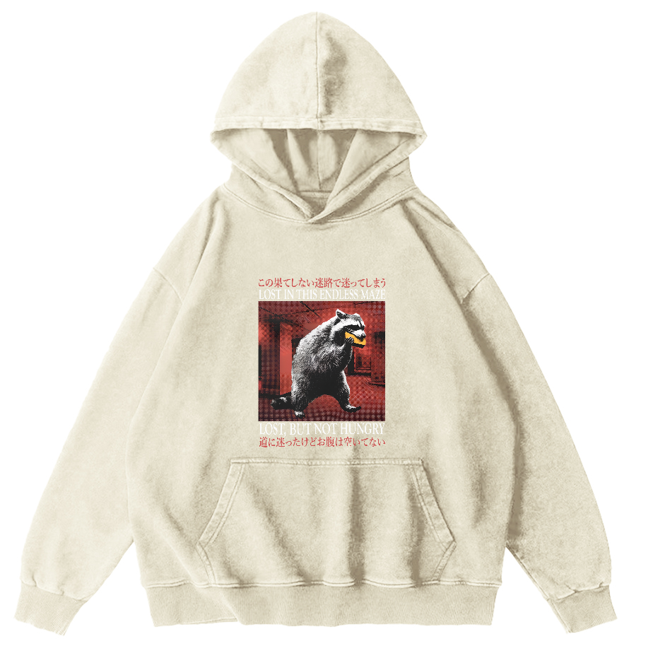 Cute Raccoon Pattern Japanese Style Vintage Distressed Hoodie-Zazasy