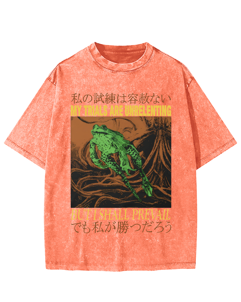 Jumping Frog Japanese Style Vintage Distressed T-shirt-Zazasy