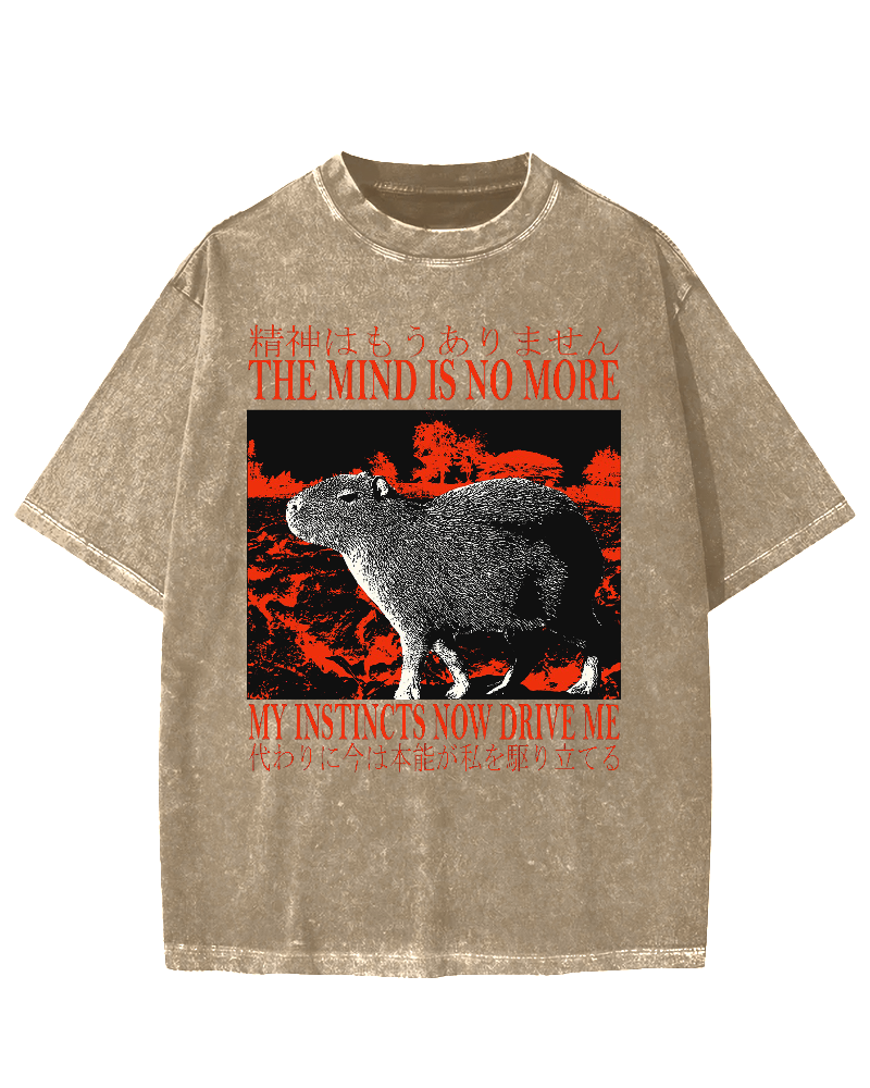 Intuition Capybara Vintage Washed T-shirt