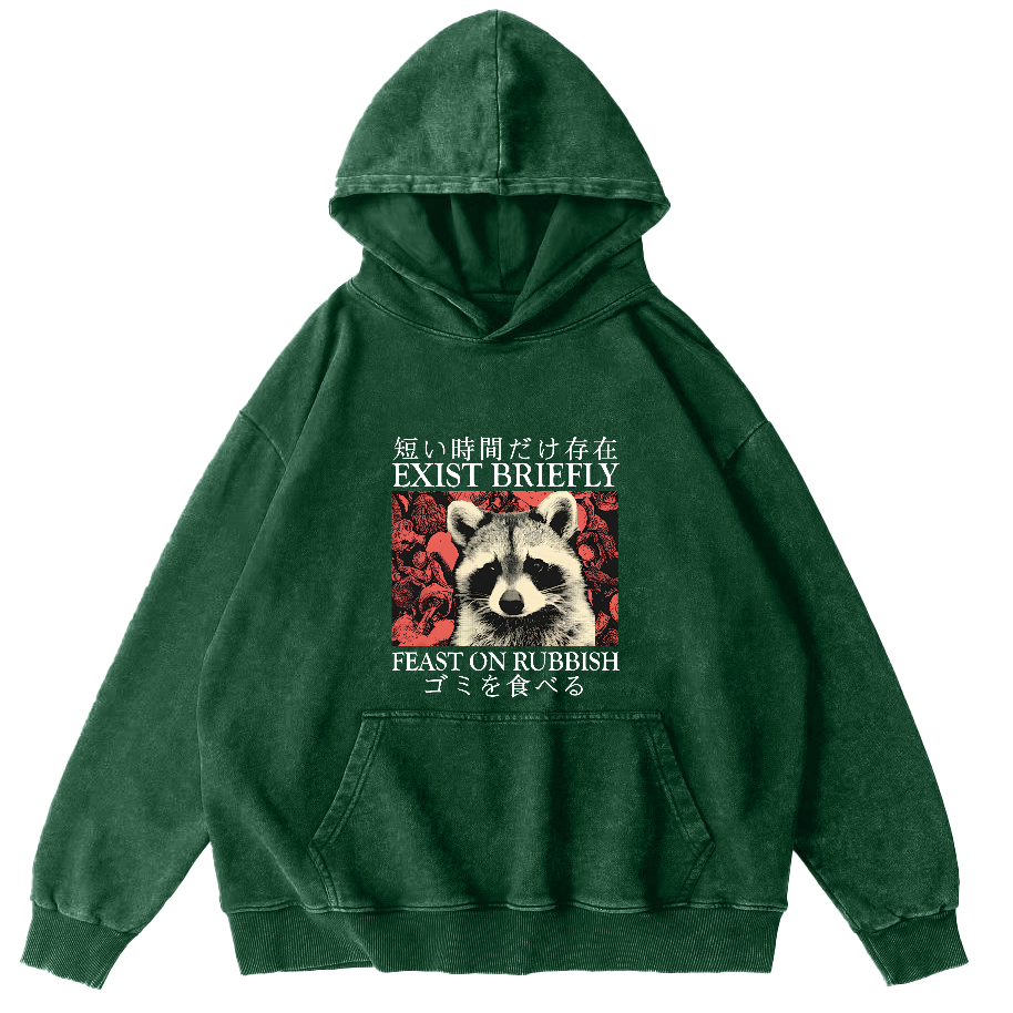 Retro Raccoon Pattern Japanese Style Vintage Distressed Hoodie-Zazasy