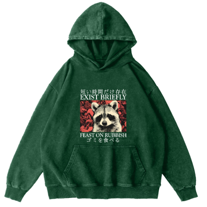 Retro Raccoon Pattern Japanese Style Vintage Distressed Hoodie-Zazasy