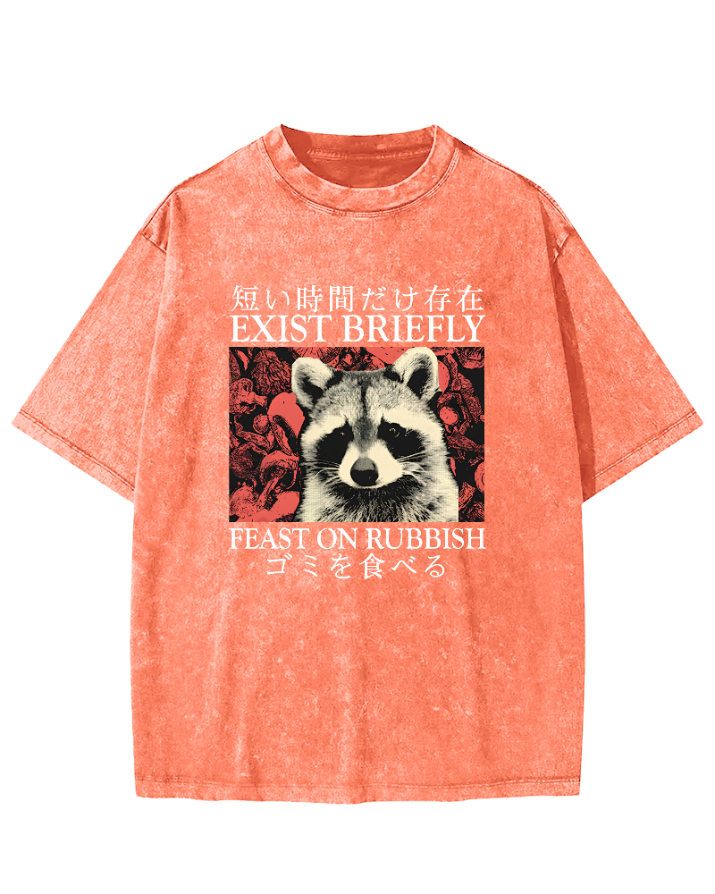 Cute Raccoon Japanese Text Vintage Distressed T-shirt-Zazasy