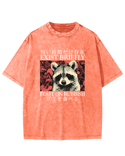 Cute Raccoon Japanese Text Vintage Distressed T-shirt-Zazasy