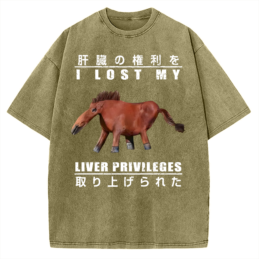 I Lost My Liver Privileges Vintage Washed T-shirt