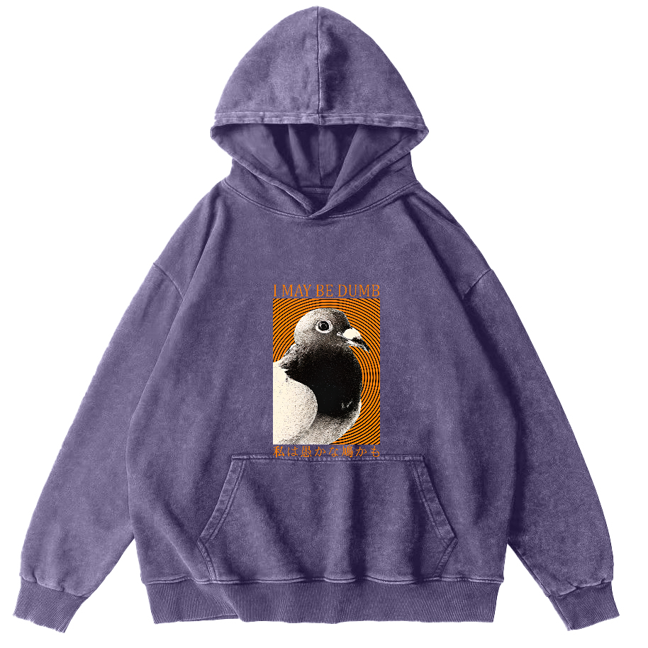 I May Be Dumb Pigeon Washed Hoodie-Zazasy