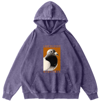I May Be Dumb Pigeon Washed Hoodie-Zazasy