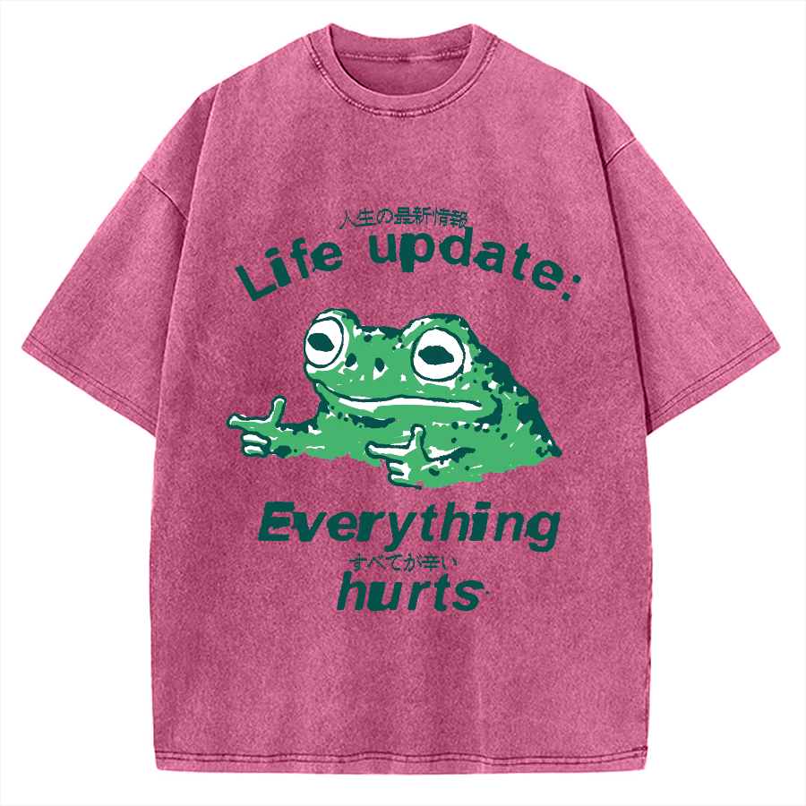 Life Update Harts Frog Vintage Washed T-shirt