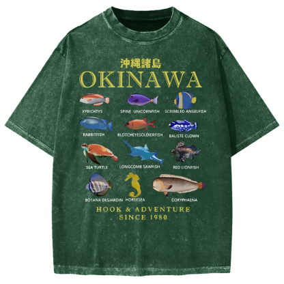 Okinawa Islands Fish Vintage Washed T-shirt