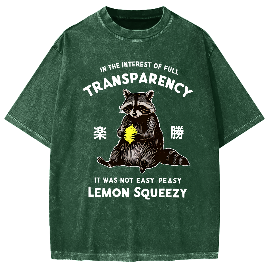 Raccoon Holding A Lemon Vintage Washed T-shirt