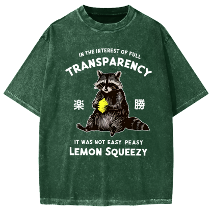Raccoon Holding A Lemon Vintage Washed T-shirt