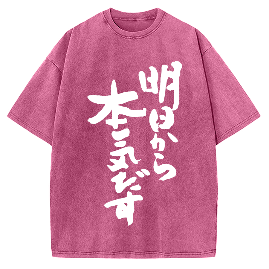 I'll get serious from tomorrow Japanese Vintage Washed T-shirt