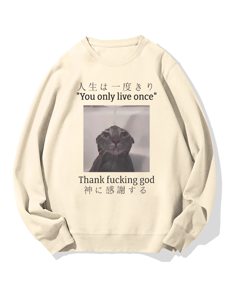 Funny Meme Cat Cotton Sweatshirt
