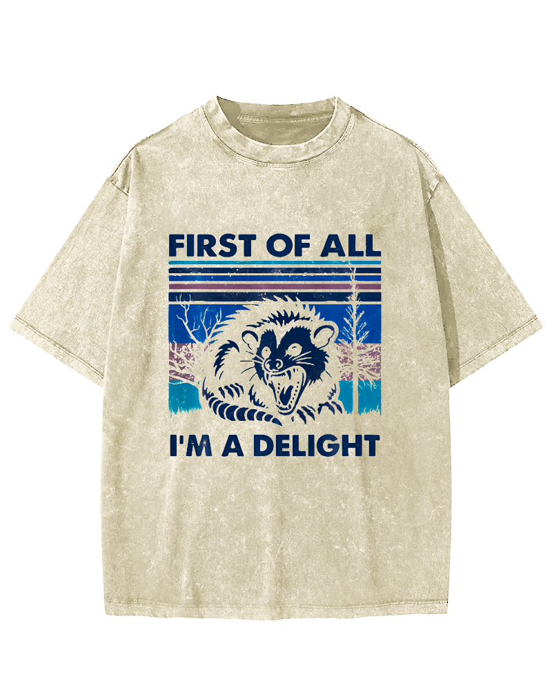 First Of All I'm A Delight Vintage Distressed T-shirt-Zazasy
