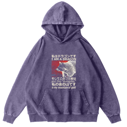 Raccoon Japanese washed hoodie-Zazasy