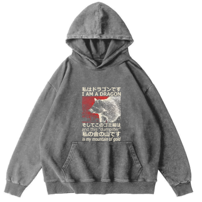 Raccoon Japanese washed hoodie-Zazasy