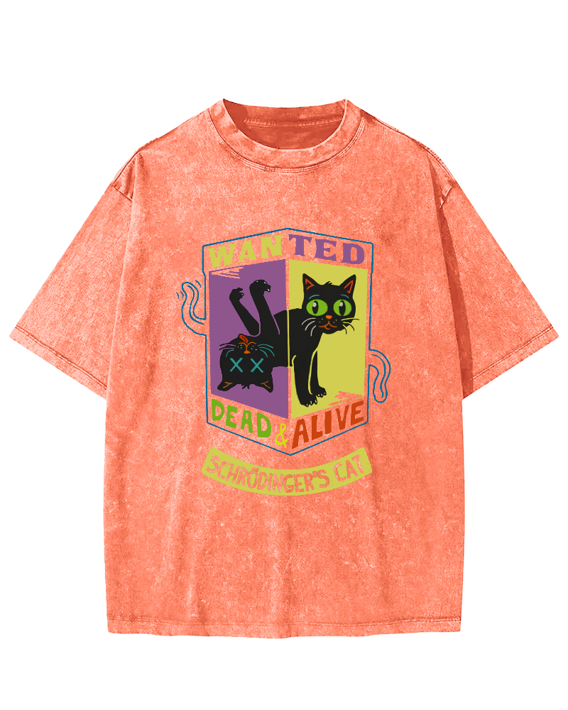 Schrodingers Cat Vintage Washed T-shirt-Zazasy