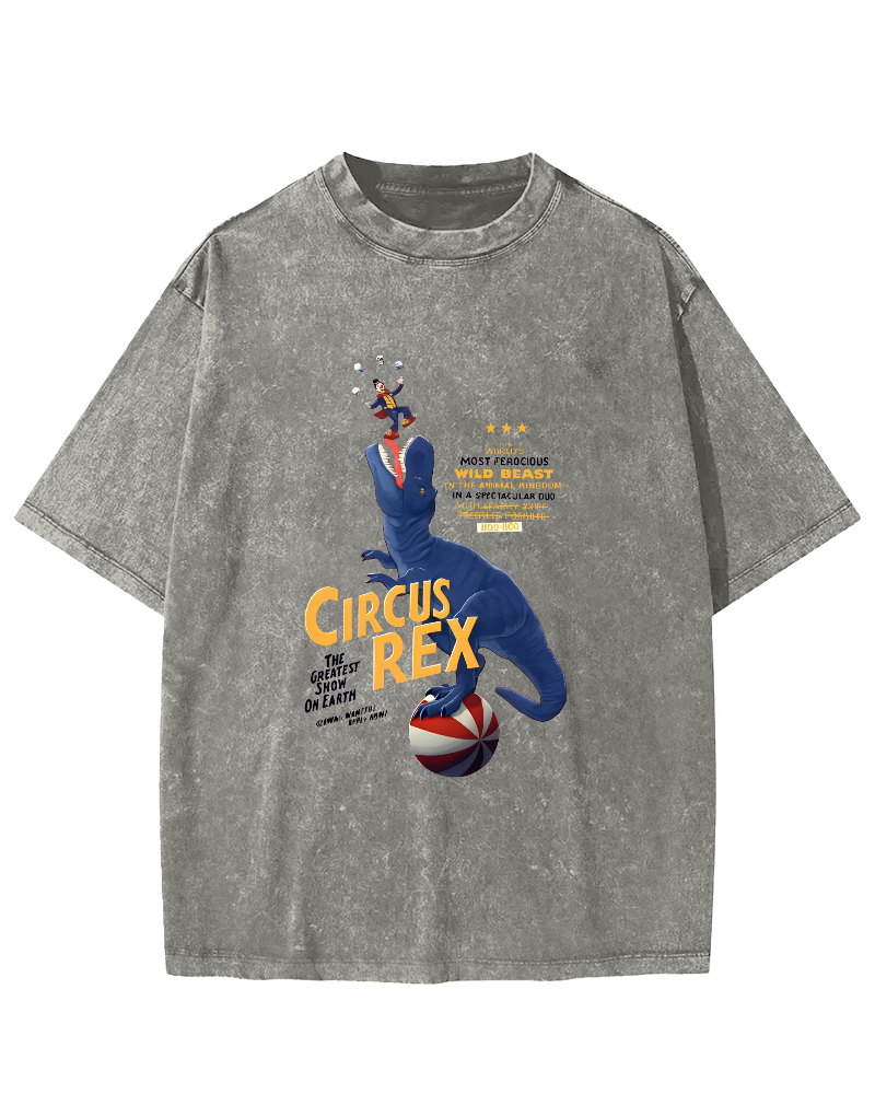 Cartoon Dinosaur Japanese Wash T-shirt-Zazasy
