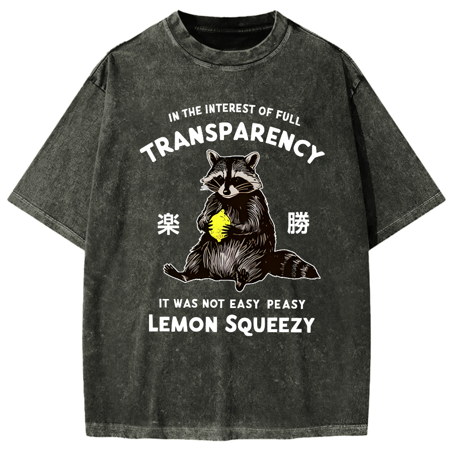 Raccoon Holding A Lemon Vintage Washed T-shirt