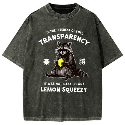 Raccoon Holding A Lemon Vintage Washed T-shirt