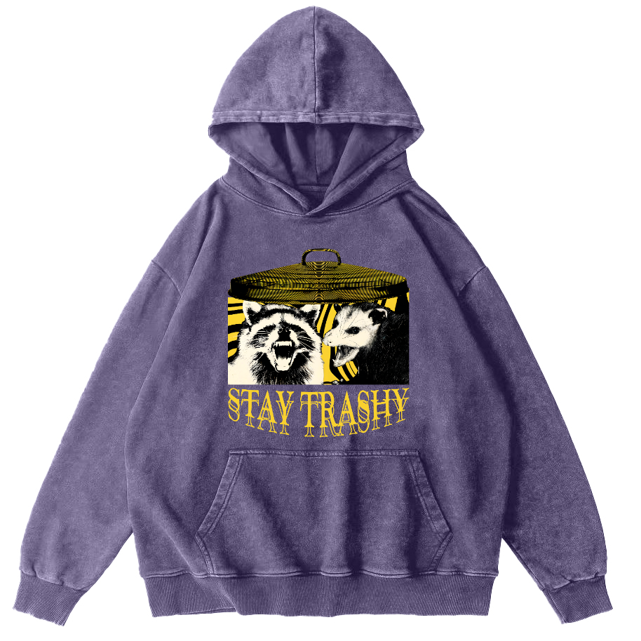 Raccoons and Mice Vintage Distressed Hoodie-Zazasy