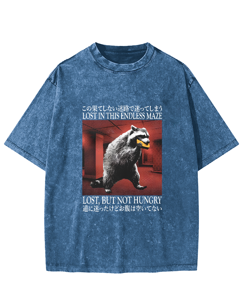 Retro Raccoon Pattern Japanese Style Vintage Distressed T-shirt-Zazasy