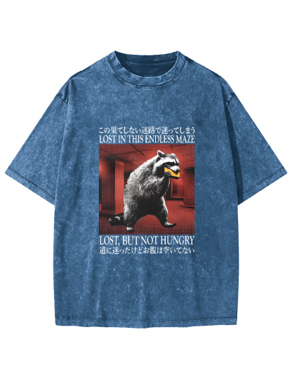 Retro Raccoon Pattern Japanese Style Vintage Distressed T-shirt-Zazasy