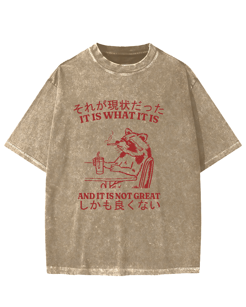 It is what it is,and it is not great Vintage Washed T-shirt