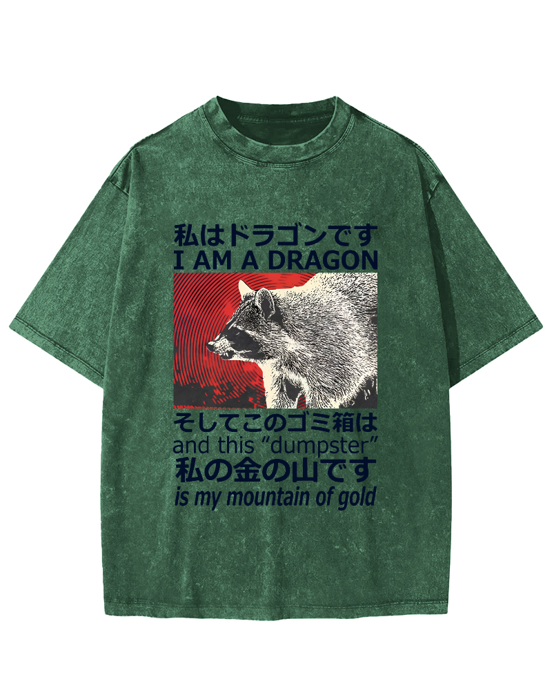 Dragon Raccoon Japanese Vintage Washed T-shirt-Zazasy