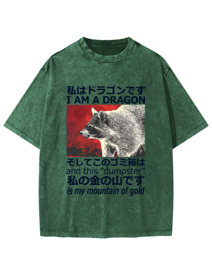 Dragon Raccoon Japanese Vintage Washed T-shirt-Zazasy