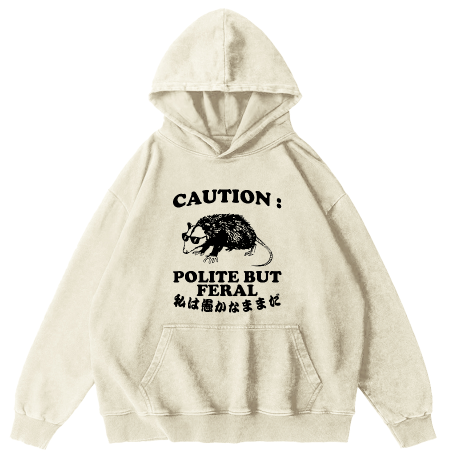 Mouse Pattern Japanese Style Vintage Distressed Hoodie-Zazasy