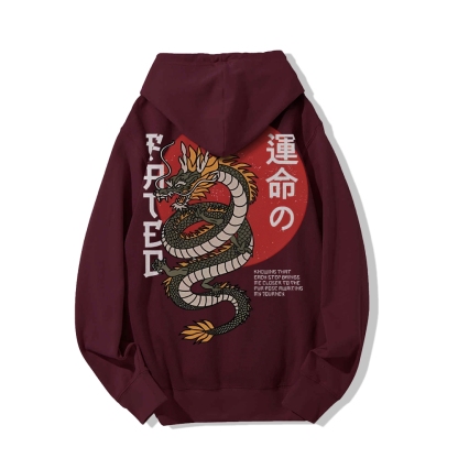 Fated Dragon Printed Back Cotton Hoodie