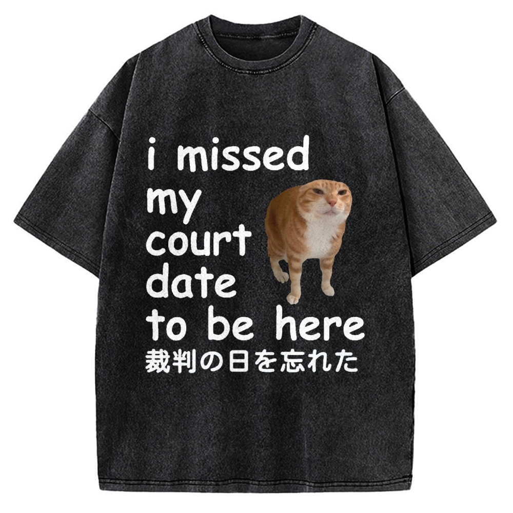 I Missed My Court Date to Be Here Funny Cat Meme Vintage Washed T-shirt